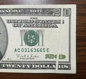 󏭂1996NV[Y20hK^[tH[h