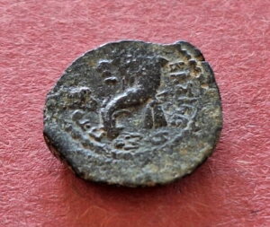 NIpg IO30N / d̖L̊p 1.4g-14mm 