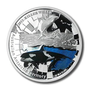 2011N I[XgA ɃV` 1h 1IX  v[tRC