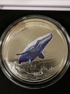 1IX Vo[ 2023 EC8 ZgrZgуOifB[ UgENW J[ bg#464