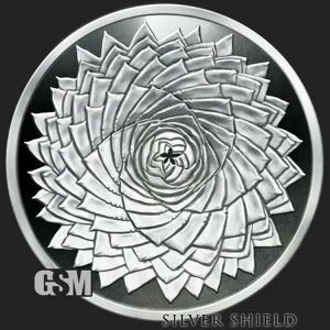 2021 Vo[V[h XpCAG - 1IX v[t - u_􉽊wvV[Y13e