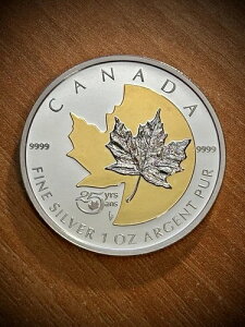 2013NJi_ 5h  1IX [v[t/25NLO SML vCx[g}[N