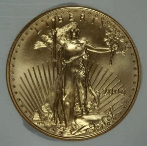 2006N-W 0.50IX AJC[O 25h݁BNGC MS70BdグBB