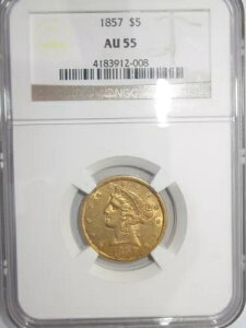 1857N oeBwbh n[tC[O 5h NGC-AU55 V[vJ[ 