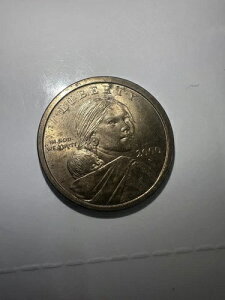 2000 D �T�J�K�E�B�A 1�h���d�� �č����o�e�B �S�[���h�J���[ ����