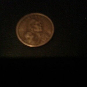 2000�N P �T�J�K�E�B�A 1�h���d�� �č����o�e�B �S�[���h�J���[ �h���E�B���O �G���[