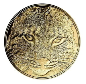 2023 `hENX 999  rbOLbg AJ  USA 쐶 WWF 