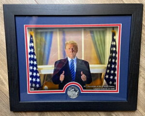 󏭂Ȋz2020NnCh~ggvERiV[h݌