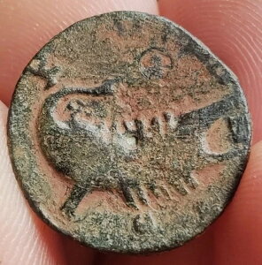 ZveB~EX ZEFX AD193-221AK[AÑネ[}̃RCBAB