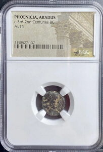 ÑtFjLA RC 174BC-141BC NGC AhDXs [EX K[D { A