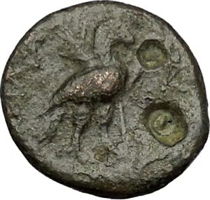 アカイオス、セレウキド王国の反逆者王、アポロ・イーグル、希少 R2 ギリシャコイン i51954