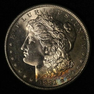 1881-S 1�h�������K����� - BU & ���͓I�ȐF�� - �č���������