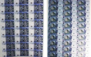 �E�N���C�i 2011 P-118c ���ْf�V�[�g 30������ Unc ����!!?�X�{�e�B�t�̃��C���X�J����?