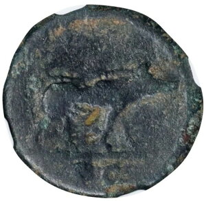 gkX 98 ` 117 N [}鍑 ؂̃CmVV AE NAhX RC Ɋ󏭂ȕi NGC