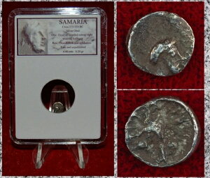 ÑRC T}A Tgbv̓ T_[{g Vo[ I{  \!