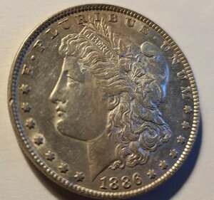 1886-P �����K����� ���邢�� �������V���[�v�ł��ꂢ�ȑō�
