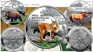 z5ԂNBUu[VAII}lRvLORCqɎ߂Ă܂