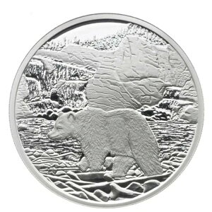 2006N 20h Ji_Finj .999 x 1IX