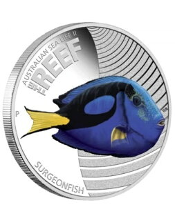 2012N I[XgA 50Zg V[Ct II T[WFgtBbV 1/2IX Vo[ v[tRC