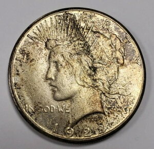 1922-S 1h݃s[X_[ - tǍD - eNX`HIWig[jO - Y2883