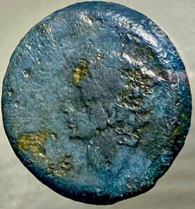 cIN^BAkX AEOXgDX IO 14 N`IO 10 N Ñネ[} RC Julia Traducta {