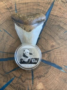 中国 シルバーパンダコイン 10元 - オリジナルカプセル入り BU - ランダム日付