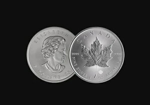 2019N 1IX Ji_Y[v[t݁BViEʕiB