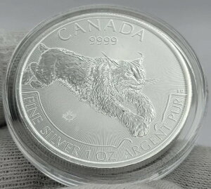 2017N JifBA NX vf^[ V[Y 1IX .999 