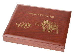 RC{bNX RCJZbg 8  X͊̋l