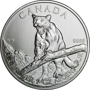 Ji_ 1IX Vo[ 2012 ChCtV[Y N[K[ .9999 t@C 5h RC BU