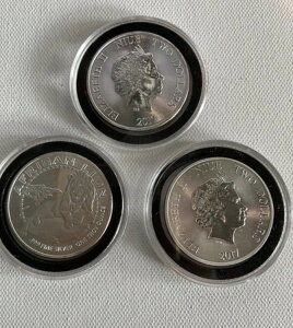 2017�N�G���U�x�X2������2�h���d�݁A�u�A�t���J�̃��C�I���v