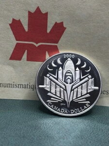 2000�N�J�i�_�V���o�[PF�L�O1�h���u�����̍q�C�v�ᒒ�� *����S