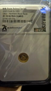 �N�b�N���� 1�I���X ��� �č��B�����V���[�Y�A�I�n�C�I�B �u���b�N���[�T�[ 2023