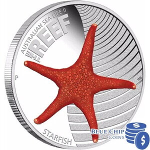 2011N 50Zg I[XgA V[Ct II U [t X^[tBbV 1/2IX Vo[ v[tRC