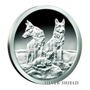 2015 �V���o�[�V�[���h AWARE AND PREPARED - 1�I���X �V���o�[�v���[�t���_���I�� - SSG