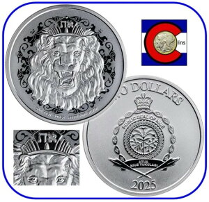 2025NjEGK郉CI 1IX 2h݁i_CNgtBbgJvZj - gD[XV[Y