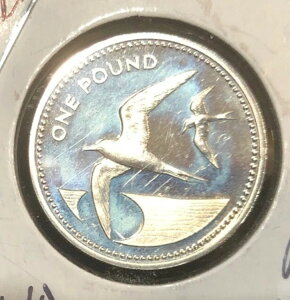 1984N ZgwiAZV 1|h v[tRC - KM#6a - s=2500