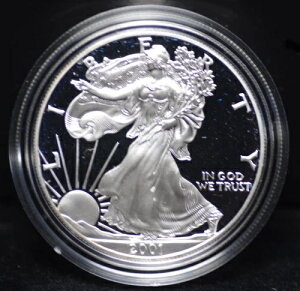 2001�N�v���[�t�A�����J���V���o�[�C�[�O��OGP�̑f���炵����΂����͊����Ɍ����܂�