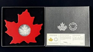 2015N 20h  - Ji_̃[v[t fBXvCAAۏ؏t