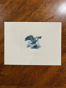 BEP ň ~g X[xjAJ[h B70 C[OEIEbN Blbgij v[t