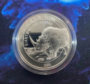 2021N X͊̋l TC 1IX 999  JvZ BU