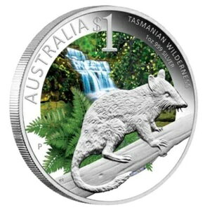 2011N I[XgA ^X}jAfr EB_lX 1IX Vo[ v[tRC