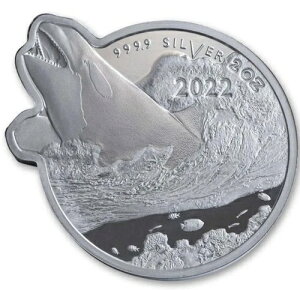 2022�N 5�h�� �\���������� �C�m�ߐH���� - �V���` 2�I���X �V���o�[ �v���[�t���C�N...