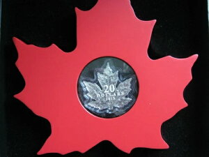 Ji_ 2015N 20h݃v[tACOA66/15000AؐfBXvCt[tP[X