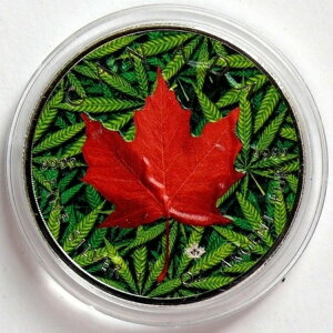 2019NJi_5h[v[t - 喃A}t@iA1IX -