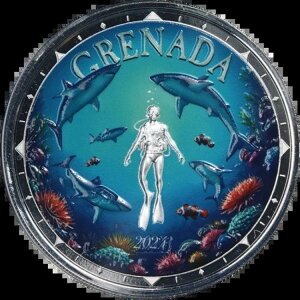 2024NOi_ 1IX Vo[V[N_Co[ J[CYhv[t OGP - ݌ɂ