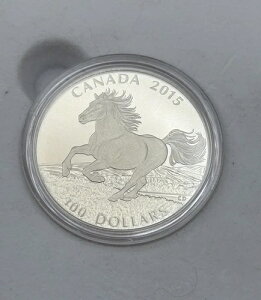 2015�N�J�i�_ �V���o�[�v���[�t100�h���d�݁u�J�i�f�B�A���z�[�X�v�P�[�X����