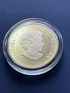 2014N CJifBA~g 10h - CO[Fё - ۏ؏