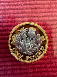 ���C�����~���g 2017�N �l�C�V�����Y�E�I�u�E�U�E�N���E�� 1�|���h��݃v���[�t�R�C���B�ԍ�07922�B