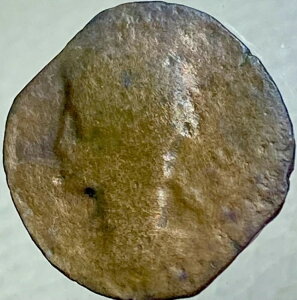 IO14N`IO10N Ñネ[}̃RC cIN^EBAkXEAEOXgDX WAEg_N^ {